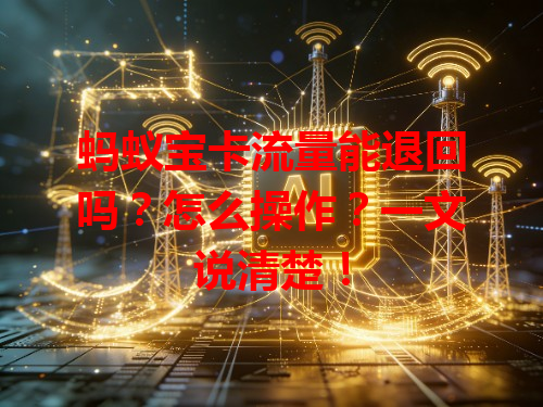 蚂蚁宝卡流量能退回吗？怎么操作？一文说清楚！
