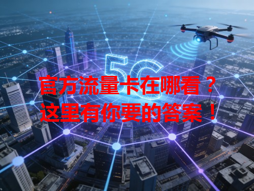 官方流量卡在哪看？这里有你要的答案！