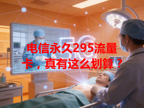 电信永久295流量卡，真有这么划算？