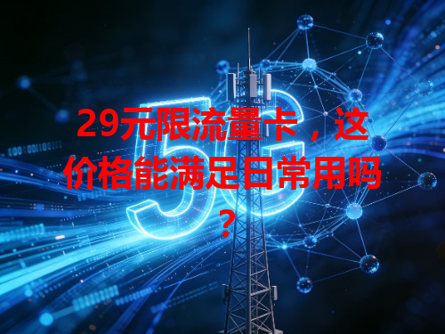 29元限流量卡，这价格能满足日常用吗？