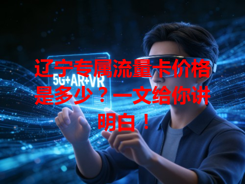 辽宁专属流量卡价格是多少？一文给你讲明白！