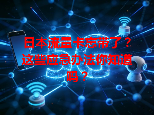 日本流量卡忘带了？这些应急办法你知道吗？