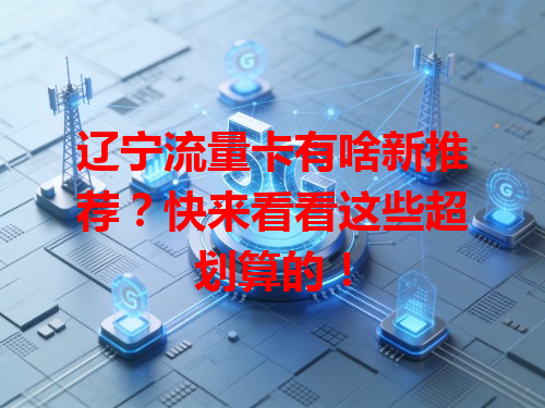 辽宁流量卡有啥新推荐？快来看看这些超划算的！