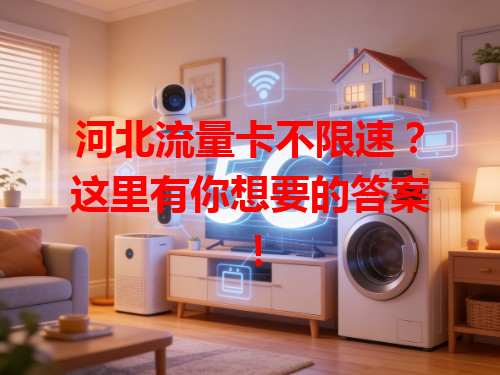 河北流量卡不限速？这里有你想要的答案！