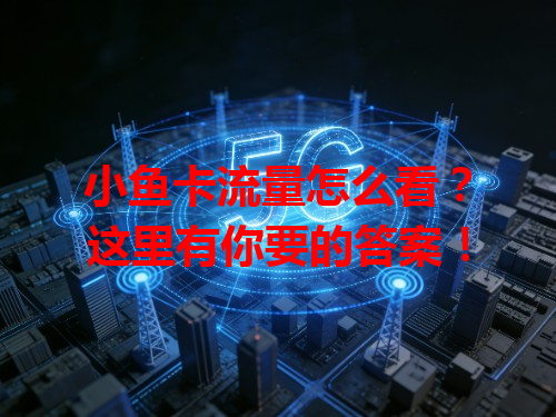 小鱼卡流量怎么看？这里有你要的答案！