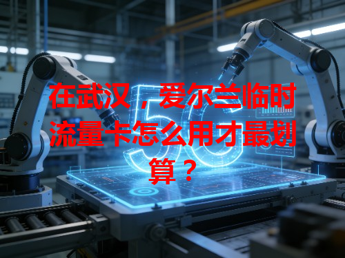 在武汉，爱尔兰临时流量卡怎么用才最划算？
