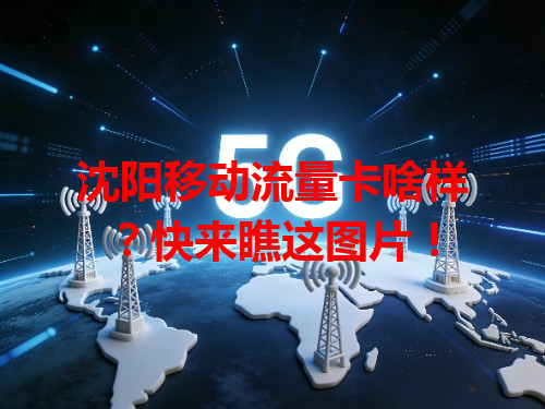 沈阳移动流量卡啥样？快来瞧这图片！