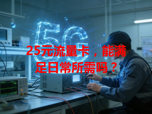 25元流量卡，能满足日常所需吗？