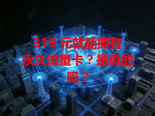 319 元就能拥有永久流量卡？是真的吗？