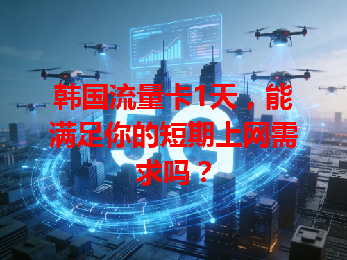 韩国流量卡1天，能满足你的短期上网需求吗？