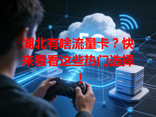 湖北有啥流量卡？快来看看这些热门选择！