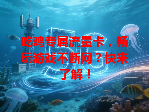 吃鸡专属流量卡，畅玩游戏不断网？快来了解！