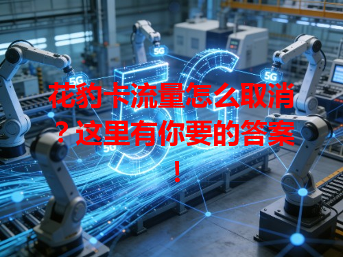 花豹卡流量怎么取消？这里有你要的答案！