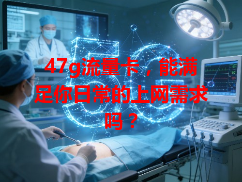 47g流量卡，能满足你日常的上网需求吗？