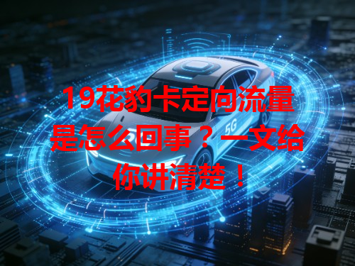 19花豹卡定向流量是怎么回事？一文给你讲清楚！