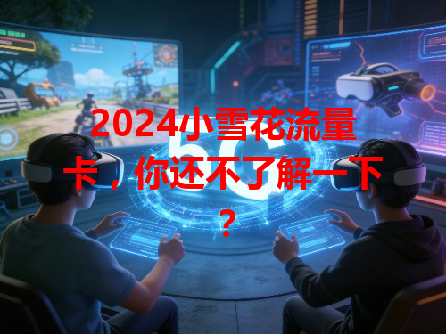 2024小雪花流量卡，你还不了解一下？