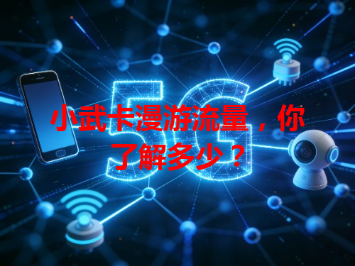 小武卡漫游流量，你了解多少？