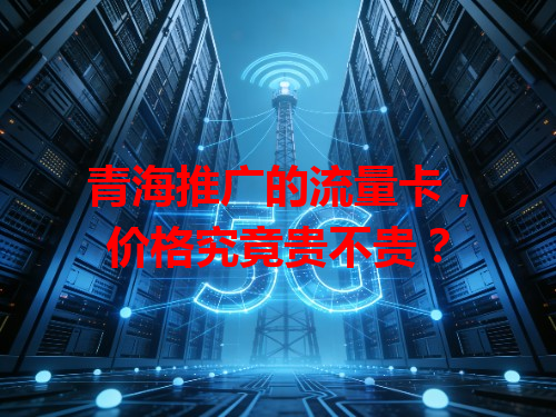 青海推广的流量卡，价格究竟贵不贵？