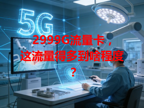 2999G流量卡，这流量得多到啥程度？