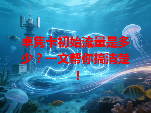 卓隽卡初始流量是多少？一文帮你搞清楚！