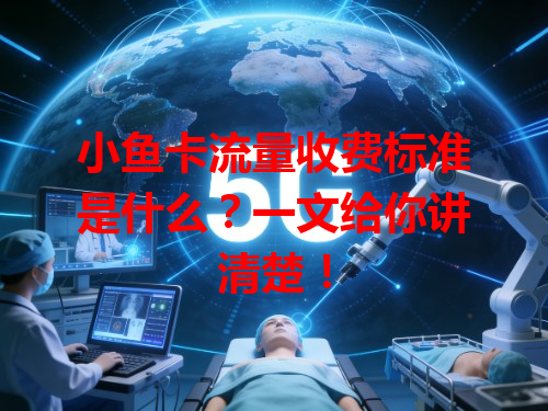 小鱼卡流量收费标准是什么？一文给你讲清楚！