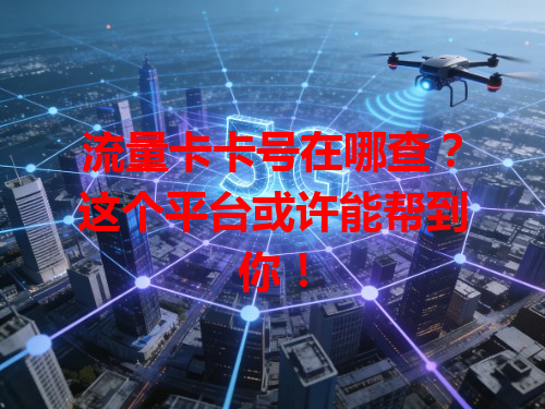 流量卡卡号在哪查？这个平台或许能帮到你！