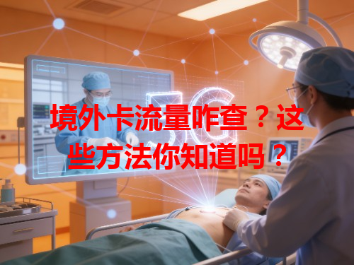 境外卡流量咋查？这些方法你知道吗？