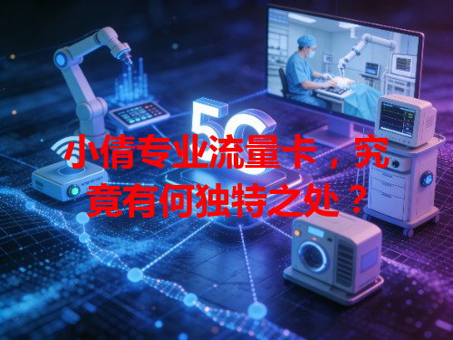 小倩专业流量卡，究竟有何独特之处？