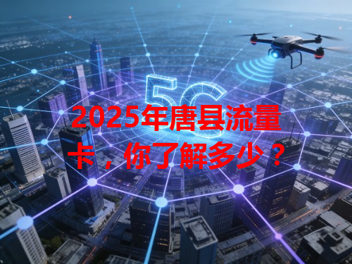2025年唐县流量卡，你了解多少？