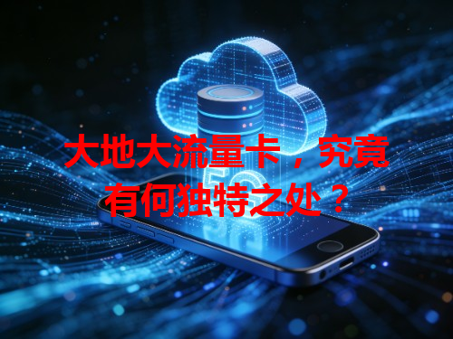 大地大流量卡，究竟有何独特之处？