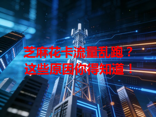 芝麻花卡流量乱跑？这些原因你得知道！
