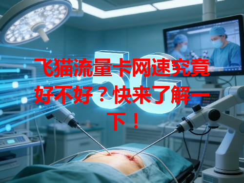 飞猫流量卡网速究竟好不好？快来了解一下！