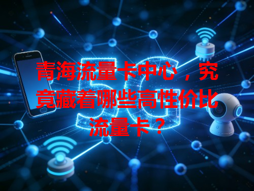 青海流量卡中心，究竟藏着哪些高性价比流量卡？