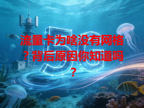 流量卡为啥没有网格？背后原因你知道吗？