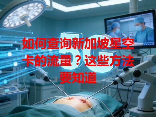 如何查询新加坡星空卡的流量？这些方法要知道