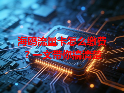 海鸥流量卡怎么缴费？一文带你搞清楚