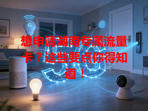 想申请湖南专属流量卡？这些要点你得知道！