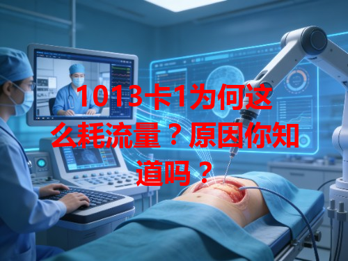 1013卡1为何这么耗流量？原因你知道吗？
