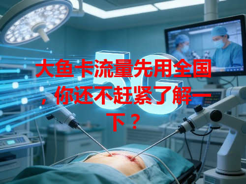 大鱼卡流量先用全国，你还不赶紧了解一下？