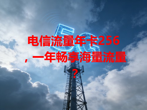 电信流量年卡256，一年畅享海量流量？
