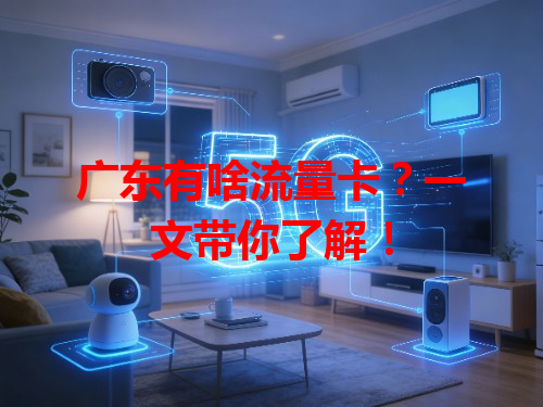 广东有啥流量卡？一文带你了解！