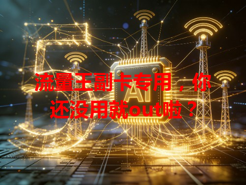 流量王副卡专用，你还没用就out啦？