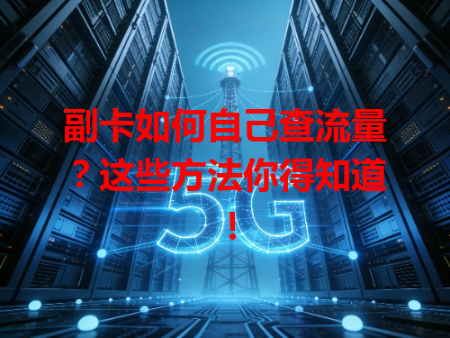 副卡如何自己查流量？这些方法你得知道！