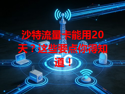 沙特流量卡能用20天？这些要点你得知道！