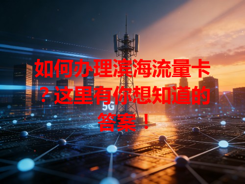 如何办理滨海流量卡？这里有你想知道的答案！