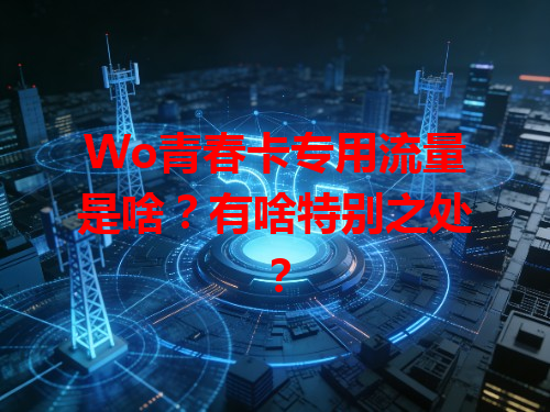 Wo青春卡专用流量是啥？有啥特别之处？