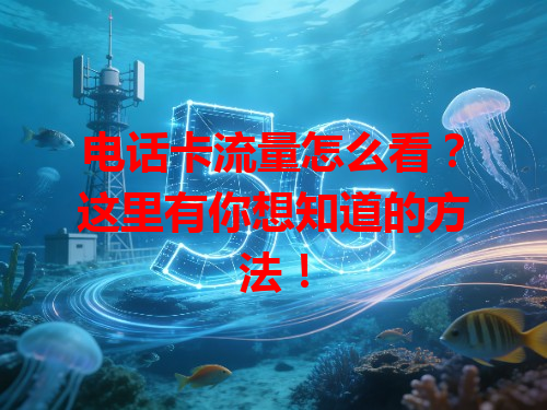 电话卡流量怎么看？这里有你想知道的方法！