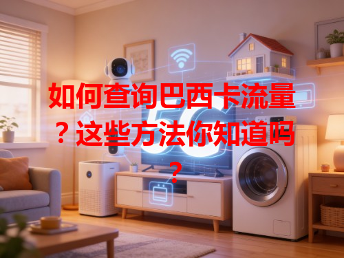 如何查询巴西卡流量？这些方法你知道吗？