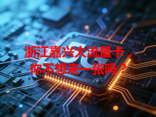 浙江嘉兴大流量卡，你不想来一张吗？