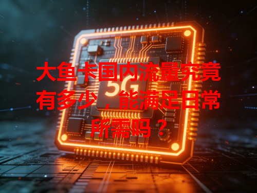 大鱼卡国内流量究竟有多少，能满足日常所需吗？